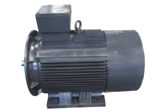 兩級(jí)壓縮螺桿空氣壓縮機(jī)-高能效專用電動(dòng)機(jī)